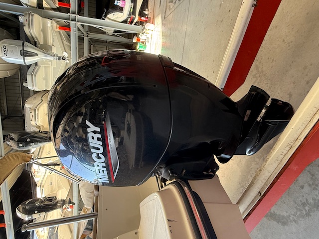 Canestrari 208 open 2022 Mercury 150 hp 4 t 